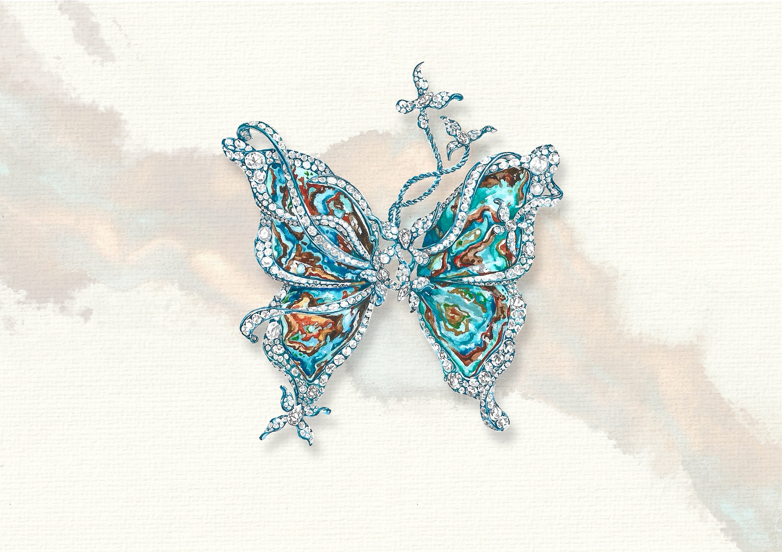 Butterfly — paraiba study