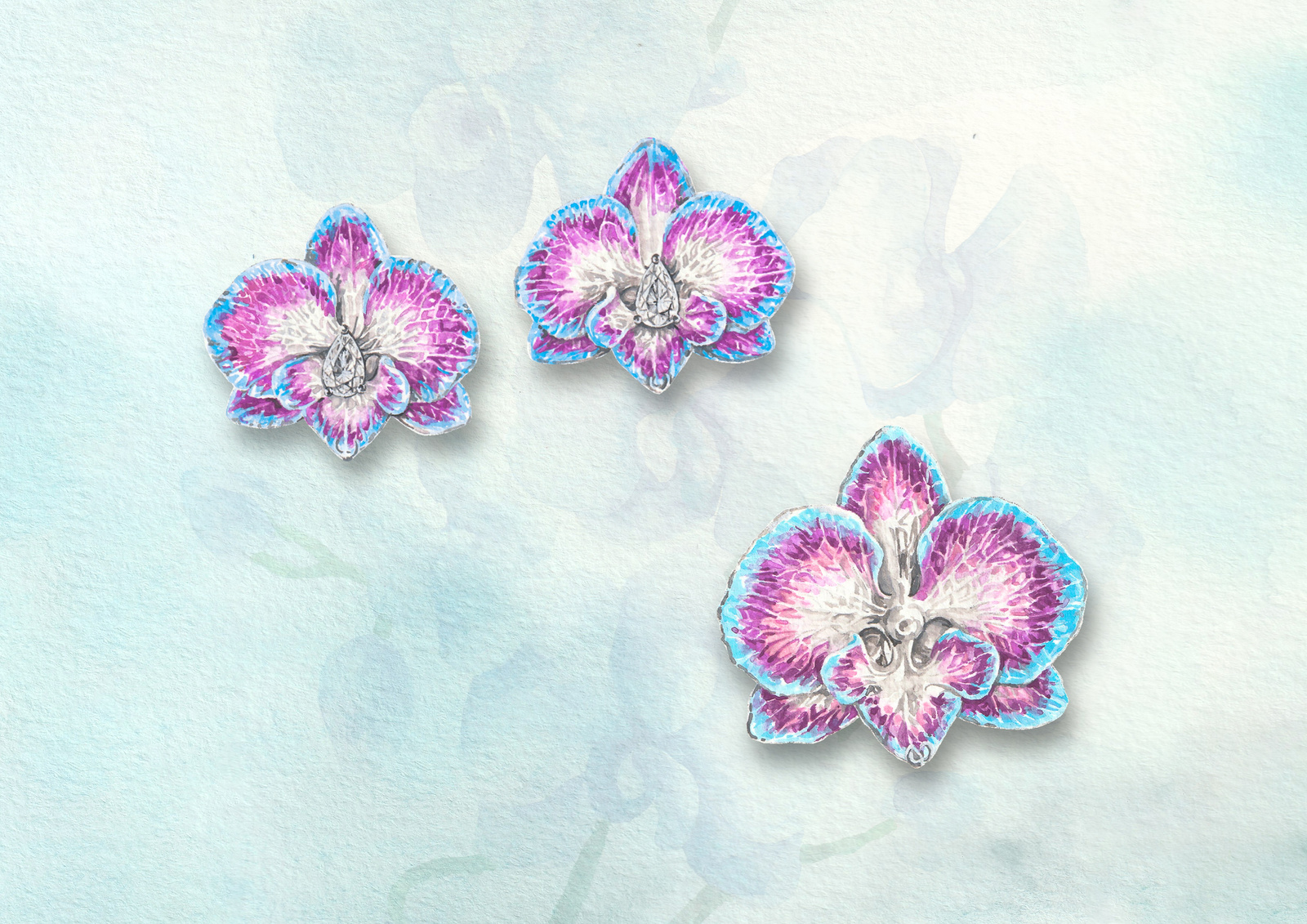 Orchids