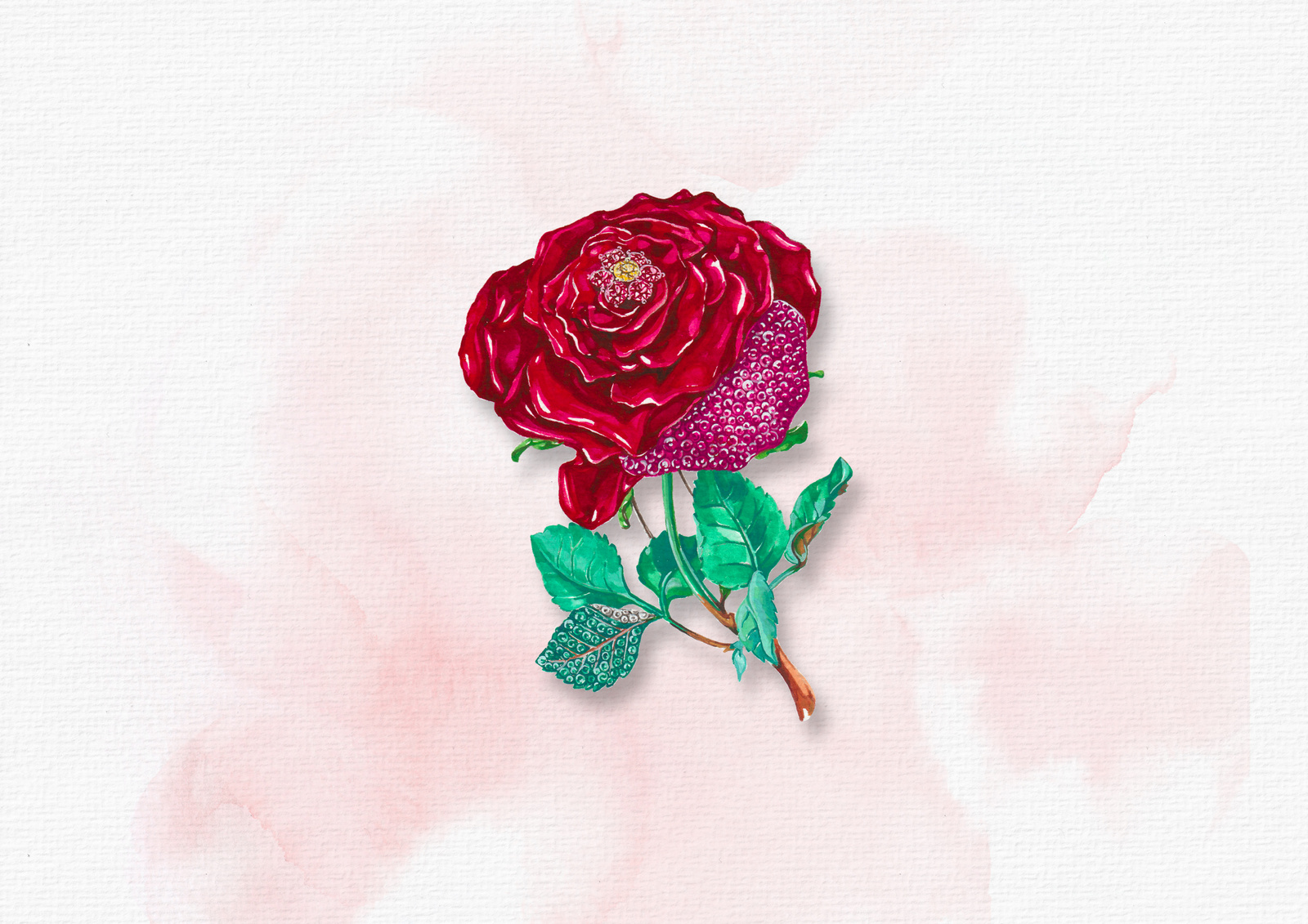 Rose
